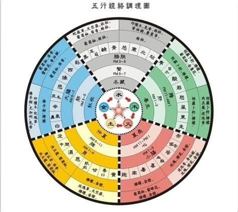 五術命格|山、醫、命、相、卜：這傳統五術說的到底是啥？